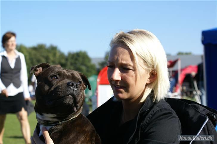 Udstilling i Brøndby billede 4