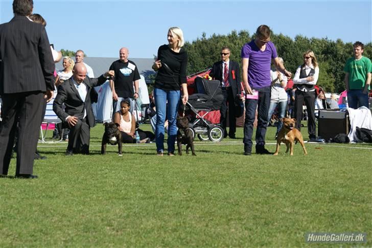 Udstilling i Brøndby billede 7