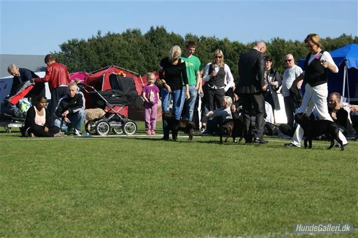 Udstilling i Brøndby billede 9