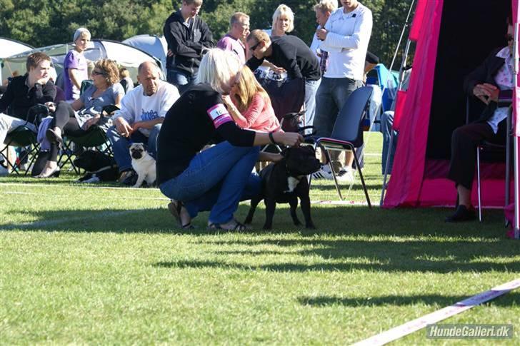 Udstilling i Brøndby billede 10