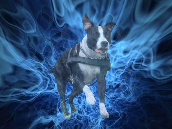 Mine billeder billede 4