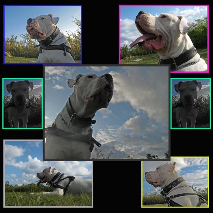 Mine billeder billede 13