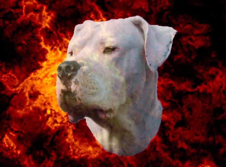 Mine billeder billede 14