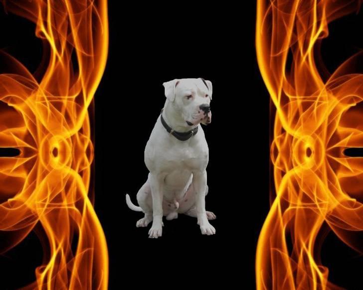 Mine billeder billede 2