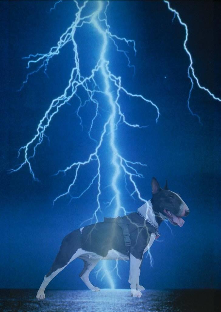 Mine billeder billede 19