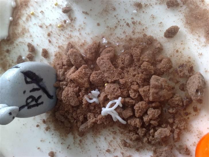 Kager - Nåede lige at få min nye sugarcraft.gun ind af døren inden kagerne skulle afsted. så tilføjede lige lidt mider :-) billede 36