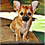 Øvelse gør mester! :)