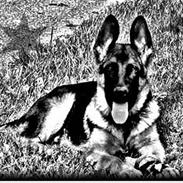 Øvelse gør mester! :)