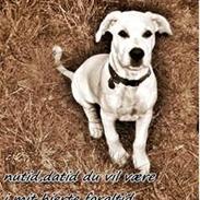 Øvelse gør mester! :)