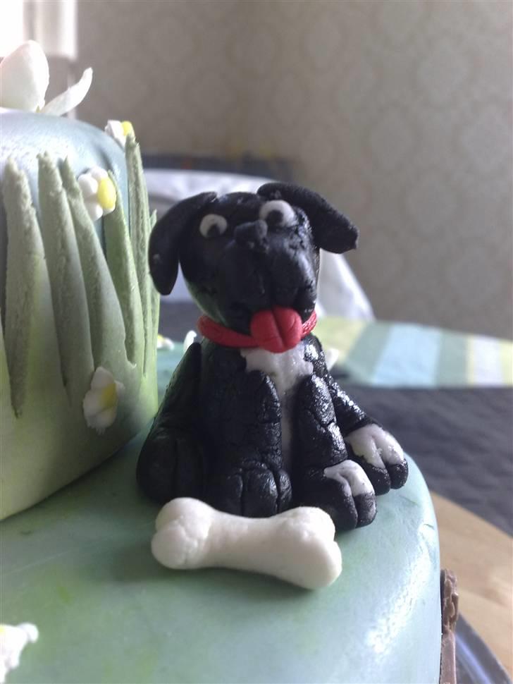 Kager - Gizmo-hunden billede 39