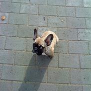 Mig og prinsessen på tur :)