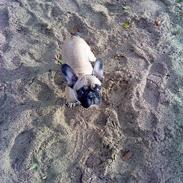 Mig og prinsessen på tur :)