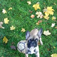 Mig og prinsessen på tur :)