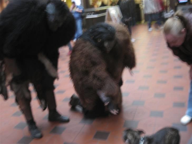 Diverse fjollerier - billede 7