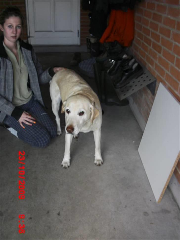 ». rikke schjødt jensen i; <3 billede 1