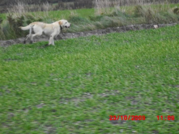 ». rikke schjødt jensen i; <3 billede 2