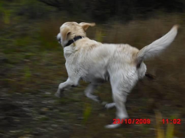 ». rikke schjødt jensen i; <3 billede 3