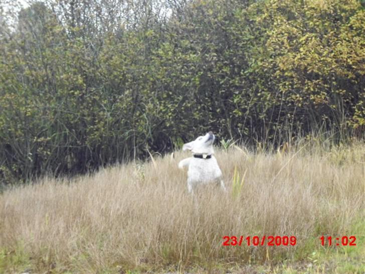 ». rikke schjødt jensen i; <3 billede 4