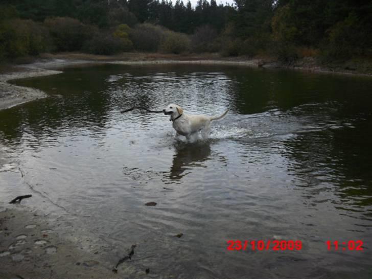 ». rikke schjødt jensen i; <3 billede 5