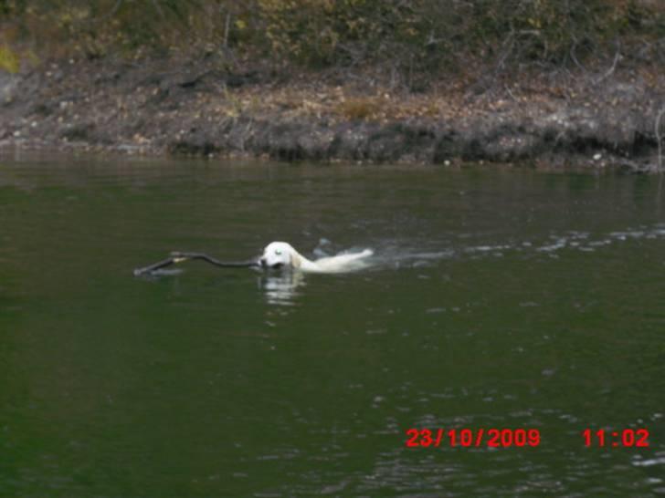 ». rikke schjødt jensen i; <3 billede 6