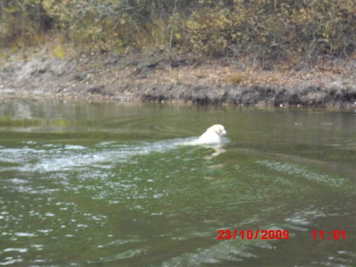 ». rikke schjødt jensen i; <3 billede 7