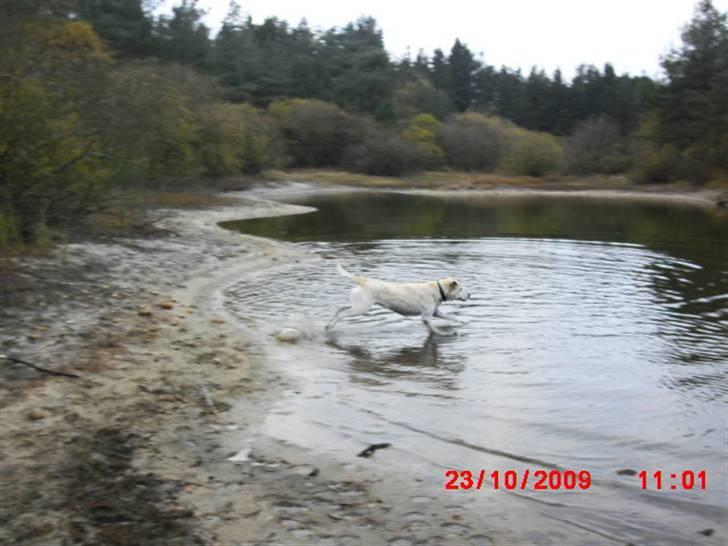 ». rikke schjødt jensen i; <3 billede 8