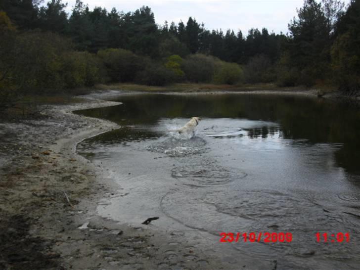 ». rikke schjødt jensen i; <3 billede 9