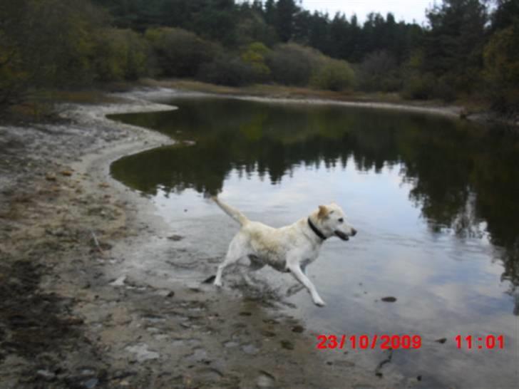 ». rikke schjødt jensen i; <3 billede 10