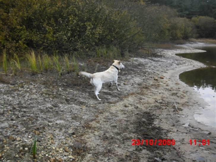 ». rikke schjødt jensen i; <3 billede 11