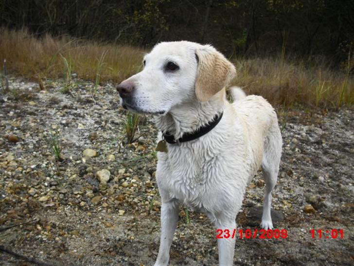 ». rikke schjødt jensen i; <3 billede 12