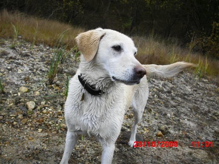 ». rikke schjødt jensen i; <3 billede 13