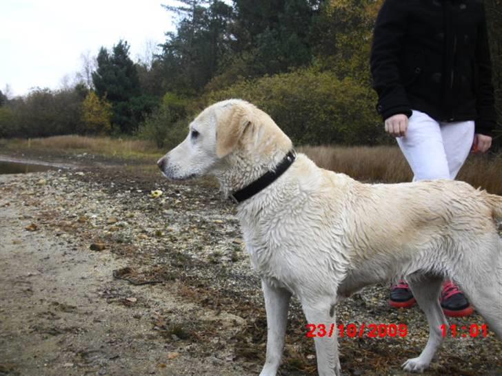 ». rikke schjødt jensen i; <3 billede 14