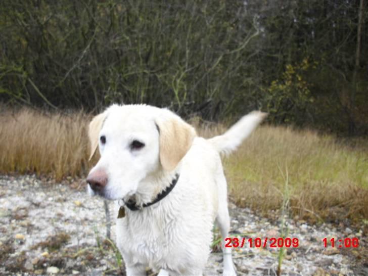 ». rikke schjødt jensen i; <3 billede 15