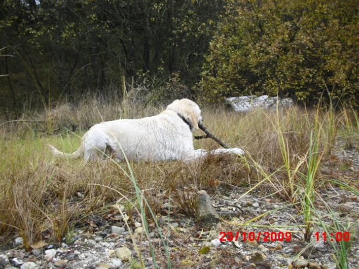 ». rikke schjødt jensen i; <3 billede 16