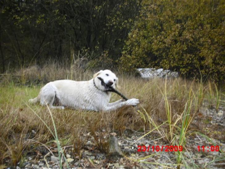 ». rikke schjødt jensen i; <3 billede 17