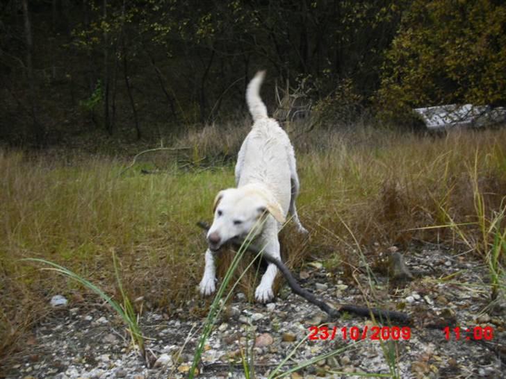 ». rikke schjødt jensen i; <3 billede 18