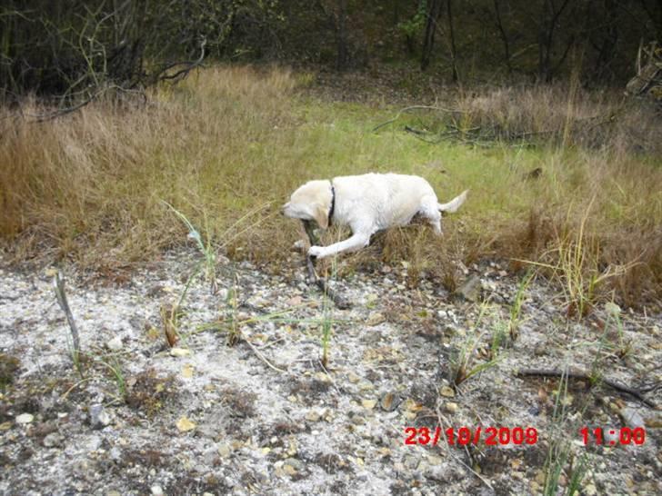 ». rikke schjødt jensen i; <3 billede 19