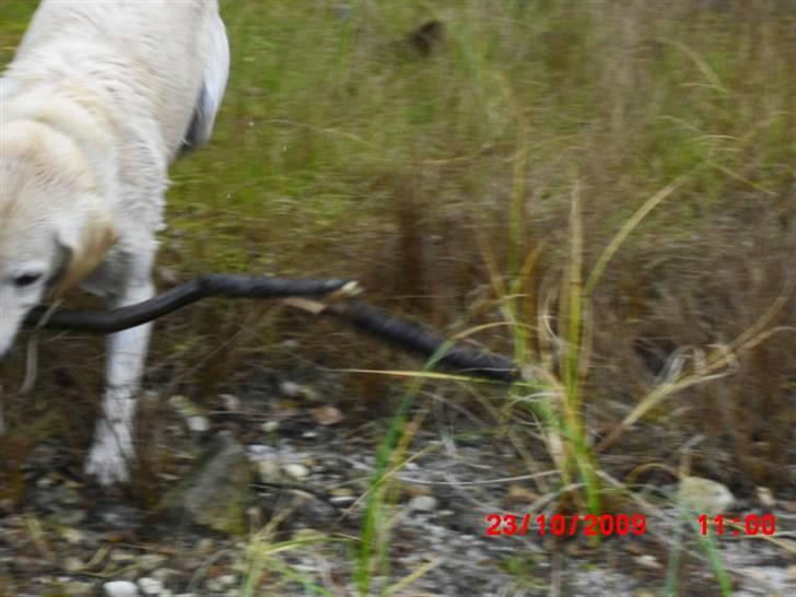 ». rikke schjødt jensen i; <3 billede 20