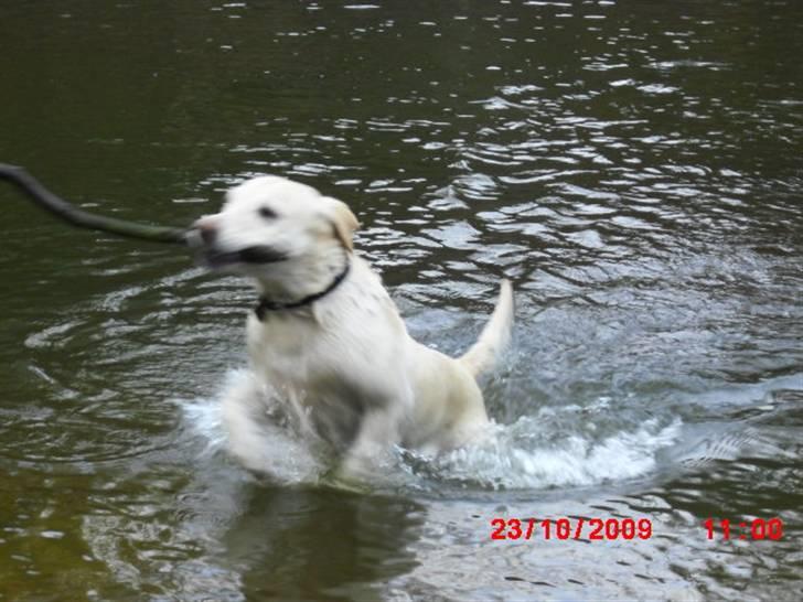 ». rikke schjødt jensen i; <3 billede 21