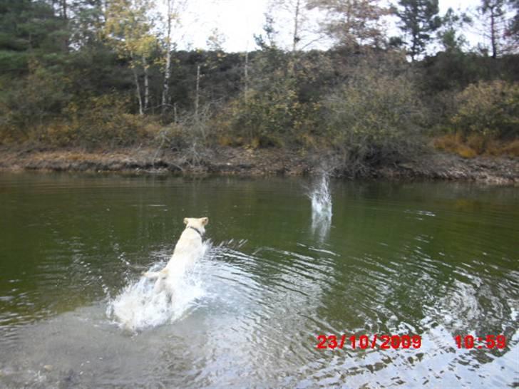 ». rikke schjødt jensen i; <3 billede 22