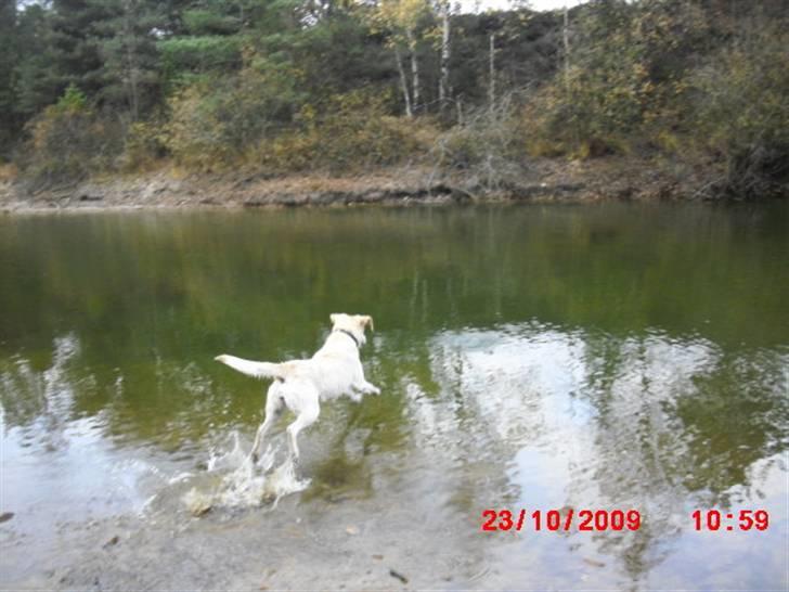 ». rikke schjødt jensen i; <3 billede 23