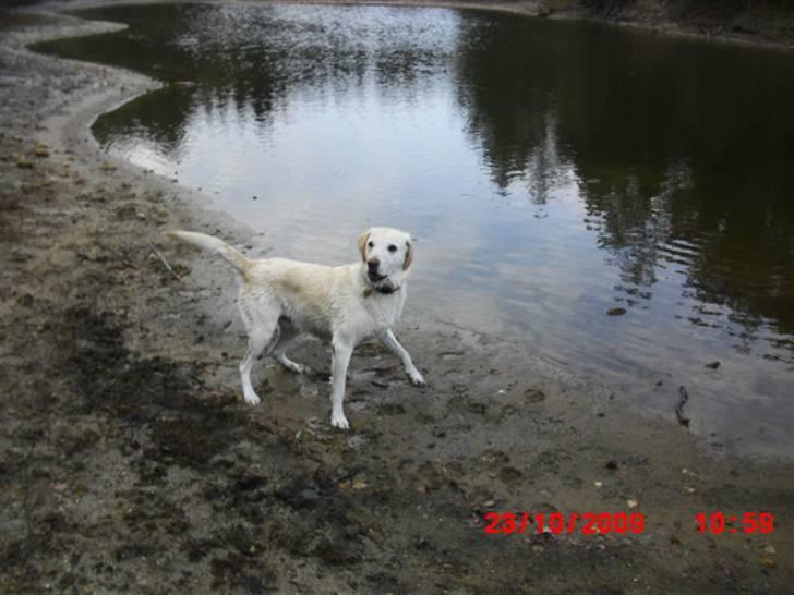 ». rikke schjødt jensen i; <3 billede 24