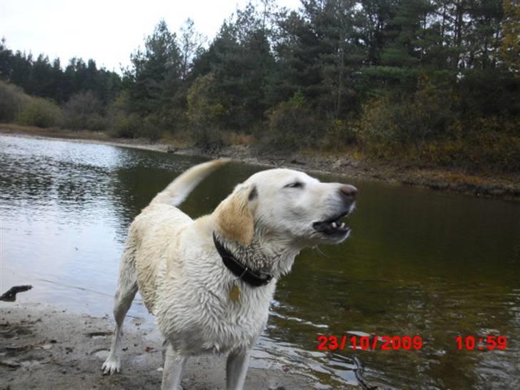 ». rikke schjødt jensen i; <3 billede 25