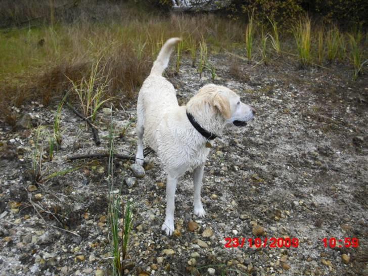 ». rikke schjødt jensen i; <3 billede 26