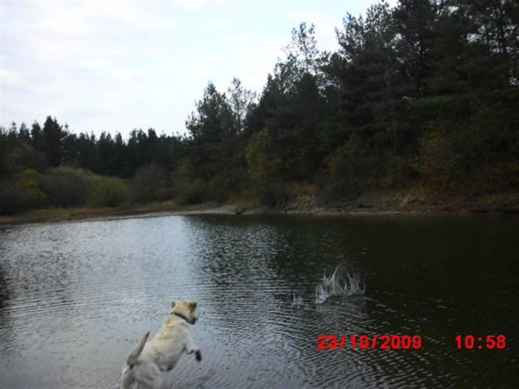 ». rikke schjødt jensen i; <3 billede 27