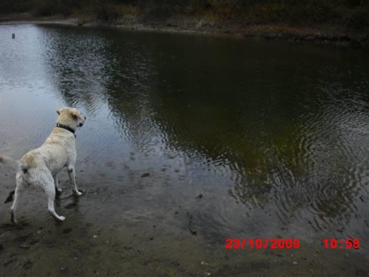 ». rikke schjødt jensen i; <3 billede 28