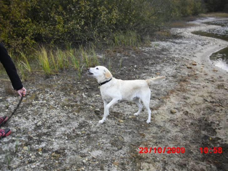 ». rikke schjødt jensen i; <3 billede 29