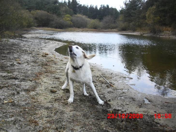 ». rikke schjødt jensen i; <3 billede 30