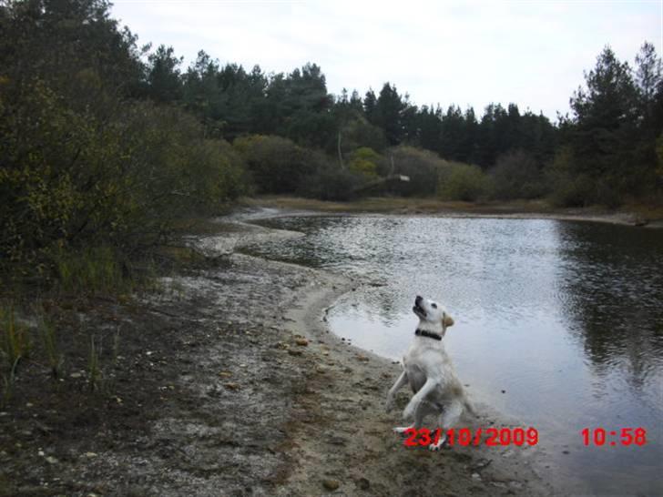 ». rikke schjødt jensen i; <3 billede 31