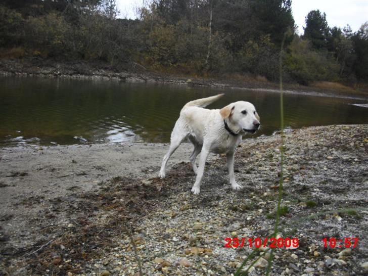 ». rikke schjødt jensen i; <3 billede 32